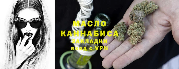 крисы Бронницы