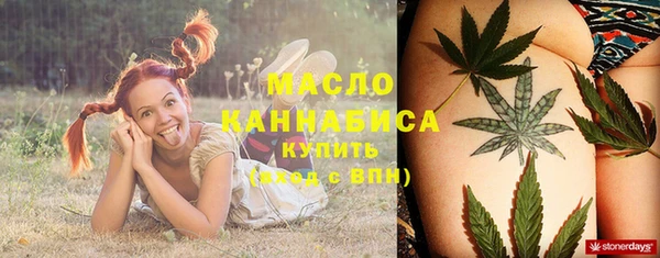 крисы Бронницы