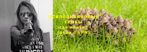 ГАЛЛЮЦИНОГЕННЫЕ ГРИБЫ Бугульма