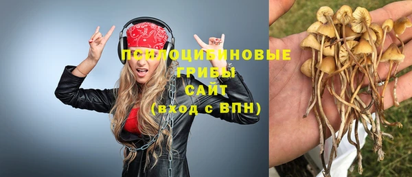 ALPHA PVP Бородино