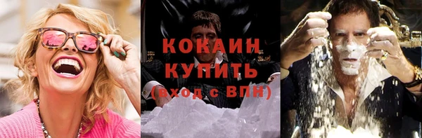 ALPHA PVP Бородино