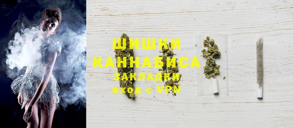 крисы Бронницы